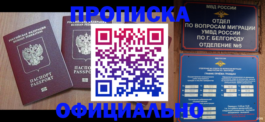 найти адрес прописки в Кремёнках